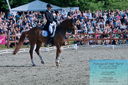 Filename=PT2_8427.JPG
Filesize=630KiB
Dimensions=1227x815
Date added=May 26, 2024 PT2_8427.JPG