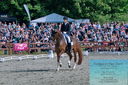Filename=PT2_8428.JPG
Filesize=638KiB
Dimensions=1227x815
Date added=May 26, 2024 PT2_8428.JPG
