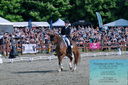 Filename=PT2_8433.JPG
Filesize=623KiB
Dimensions=1227x815
Date added=May 26, 2024 PT2_8433.JPG
