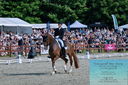 Filename=PT2_8434.JPG
Filesize=609KiB
Dimensions=1227x815
Date added=May 26, 2024 PT2_8434.JPG