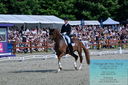 Filename=PT2_8435.JPG
Filesize=573KiB
Dimensions=1227x815
Date added=May 26, 2024 PT2_8435.JPG