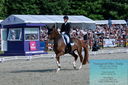 Filename=PT2_8436.JPG
Filesize=573KiB
Dimensions=1227x815
Date added=May 26, 2024 PT2_8436.JPG