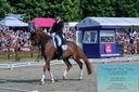 Filename=PT2_8439.JPG
Filesize=590KiB
Dimensions=1227x815
Date added=May 26, 2024 PT2_8439.JPG