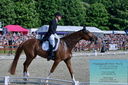Filename=PT2_8442.JPG
Filesize=618KiB
Dimensions=1227x815
Date added=May 26, 2024 PT2_8442.JPG