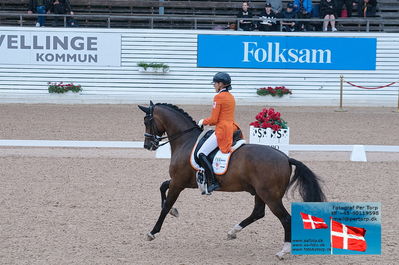FEI Dressage Nations Cup Grand Prix
Keywords: falsterbo;gerdine maree;Holiday