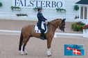 Filename=PT2_0122.JPG
Filesize=227KiB
Dimensions=800x531
Date added=Jul 13, 2024 PT2_0122.JPG