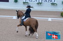 Filename=PT2_0130.JPG
Filesize=230KiB
Dimensions=800x531
Date added=Jul 13, 2024 PT2_0130.JPG