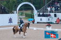 Filename=PT2_0131.JPG
Filesize=245KiB
Dimensions=800x531
Date added=Jul 13, 2024 PT2_0131.JPG