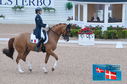 Filename=PT2_0133.JPG
Filesize=234KiB
Dimensions=800x531
Date added=Jul 13, 2024 PT2_0133.JPG