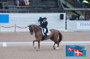 Filename=PT2_0139.JPG
Filesize=233KiB
Dimensions=800x531
Date added=Jul 13, 2024 PT2_0139.JPG