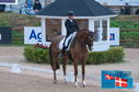 Filename=PT2_0144.JPG
Filesize=231KiB
Dimensions=800x531
Date added=Jul 13, 2024 PT2_0144.JPG