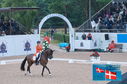 Filename=PT2_0157.JPG
Filesize=258KiB
Dimensions=800x531
Date added=Jul 13, 2024 PT2_0157.JPG