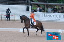 Filename=PT2_0160.JPG
Filesize=235KiB
Dimensions=800x531
Date added=Jul 13, 2024 PT2_0160.JPG