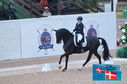 Filename=PT2_0209.JPG
Filesize=211KiB
Dimensions=800x531
Date added=Jul 13, 2024 PT2_0209.JPG