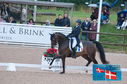 Filename=PT2_0223.JPG
Filesize=237KiB
Dimensions=800x531
Date added=Jul 13, 2024 PT2_0223.JPG