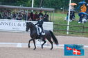 Filename=PT2_0395.JPG
Filesize=263KiB
Dimensions=800x531
Date added=Jul 13, 2024 PT2_0395.JPG