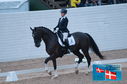 Filename=PT2_9553.JPG
Filesize=189KiB
Dimensions=800x531
Date added=Jul 12, 2024 PT2_9553.JPG