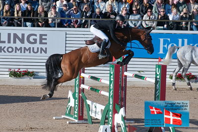 fQualifier for Agria Grand Prix 150cm
Keywords: falsterbo;michael greve;la vie est belle tcs