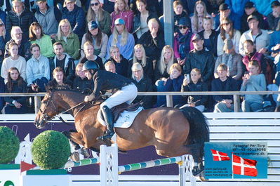 fQualifier for Agria Grand Prix 150cm
Keywords: falsterbo;fredrik spetz;jykarlos