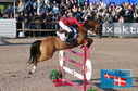 Filename=PT2_0674.JPG
Filesize=286KiB
Dimensions=800x531
Date added=Jul 13, 2024 PT2_0674.JPG