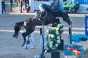 Filename=PT2_0753.JPG
Filesize=249KiB
Dimensions=800x531
Date added=Jul 13, 2024 PT2_0753.JPG