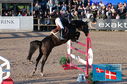 Filename=PT2_0754.JPG
Filesize=280KiB
Dimensions=800x531
Date added=Jul 13, 2024 PT2_0754.JPG