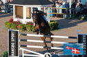 Filename=PT2_0763.JPG
Filesize=270KiB
Dimensions=800x531
Date added=Jul 13, 2024 PT2_0763.JPG