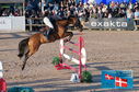 Filename=PT2_0796.JPG
Filesize=293KiB
Dimensions=800x531
Date added=Jul 13, 2024 PT2_0796.JPG