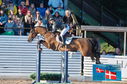 Filename=PT2_0829.JPG
Filesize=225KiB
Dimensions=800x531
Date added=Jul 13, 2024 PT2_0829.JPG