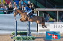 Filename=PT2_0847.JPG
Filesize=251KiB
Dimensions=800x531
Date added=Jul 13, 2024 PT2_0847.JPG