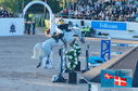 Filename=PT2_0888.JPG
Filesize=290KiB
Dimensions=800x531
Date added=Jul 13, 2024 PT2_0888.JPG