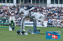 Filename=PT2_0984.JPG
Filesize=293KiB
Dimensions=800x531
Date added=Jul 14, 2024 PT2_0984.JPG