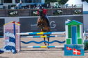 Filename=PT2_1142.JPG
Filesize=258KiB
Dimensions=800x531
Date added=Jul 14, 2024 PT2_1142.JPG