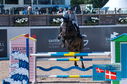 Filename=PT2_1183.JPG
Filesize=243KiB
Dimensions=800x531
Date added=Jul 14, 2024 PT2_1183.JPG