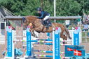 Filename=PT2_1205.JPG
Filesize=282KiB
Dimensions=800x531
Date added=Jul 14, 2024 PT2_1205.JPG