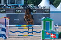 Filename=PT2_1224.JPG
Filesize=245KiB
Dimensions=800x531
Date added=Jul 14, 2024 PT2_1224.JPG