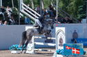 Filename=PT2_1294.JPG
Filesize=247KiB
Dimensions=800x531
Date added=Jul 14, 2024 PT2_1294.JPG