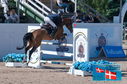 Filename=PT2_1383.JPG
Filesize=242KiB
Dimensions=800x531
Date added=Jul 14, 2024 PT2_1383.JPG