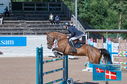 Filename=PT2_1386.JPG
Filesize=258KiB
Dimensions=800x531
Date added=Jul 14, 2024 PT2_1386.JPG