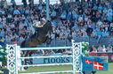 Filename=PT2_9947.JPG
Filesize=264KiB
Dimensions=800x531
Date added=Jul 12, 2024 PT2_9947.JPG