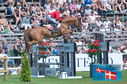 Filename=PT2_9967.JPG
Filesize=266KiB
Dimensions=800x531
Date added=Jul 12, 2024 PT2_9967.JPG