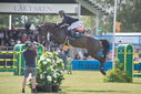 Filename=PT9_2728.JPG
Filesize=172KiB
Dimensions=800x534
Date added=Jul 14, 2025 PT9_2728.JPG