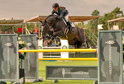 Horseware 7-års Championat hoppning
Keywords: pt;karen  møller rohde;cassado ask