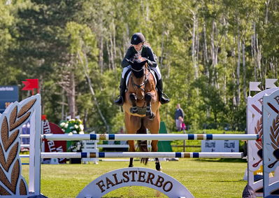 2Folksam Open hoppning 5-åriga hästar
Keywords: pt;karen  møller rohde;fifi ask