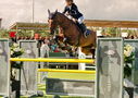 Filename=PT9_3882.jpg
Filesize=4981KiB
Dimensions=5000x3545
Date added=Jul 10, 2022 PT9_3882.jpg