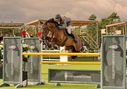 Filename=PT9_3999.jpg
Filesize=5191KiB
Dimensions=5000x3506
Date added=Jul 10, 2022 PT9_3999.jpg