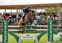 Filename=PT9_4096.jpg
Filesize=5392KiB
Dimensions=5000x3483
Date added=Jul 10, 2022 PT9_4096.jpg
