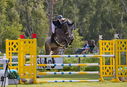 Filename=PT9_4517.jpg
Filesize=4508KiB
Dimensions=5000x3429
Date added=Jul 12, 2022 PT9_4517.jpg