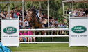 Filename=PT9_4827.jpg
Filesize=4800KiB
Dimensions=5000x2949
Date added=Jul 12, 2022 PT9_4827.jpg