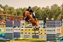 Filename=PT9_4908.jpg
Filesize=4853KiB
Dimensions=5000x3338
Date added=Jul 12, 2022 PT9_4908.jpg